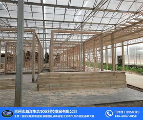 青州瀚洋農(nóng)業(yè) 陽光玻璃溫室的現(xiàn)代畫卷與蔬菜產(chǎn)業(yè)新篇章