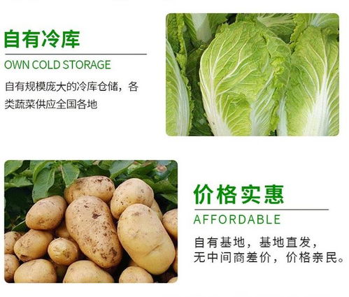 龍崗坪地食堂生鮮蔬菜配送服務(wù) 一站式解決餐飲承包的食材需求