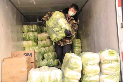 大商沈陽集團穩物價保民生，以低于進價供應蔬菜等生活必需品